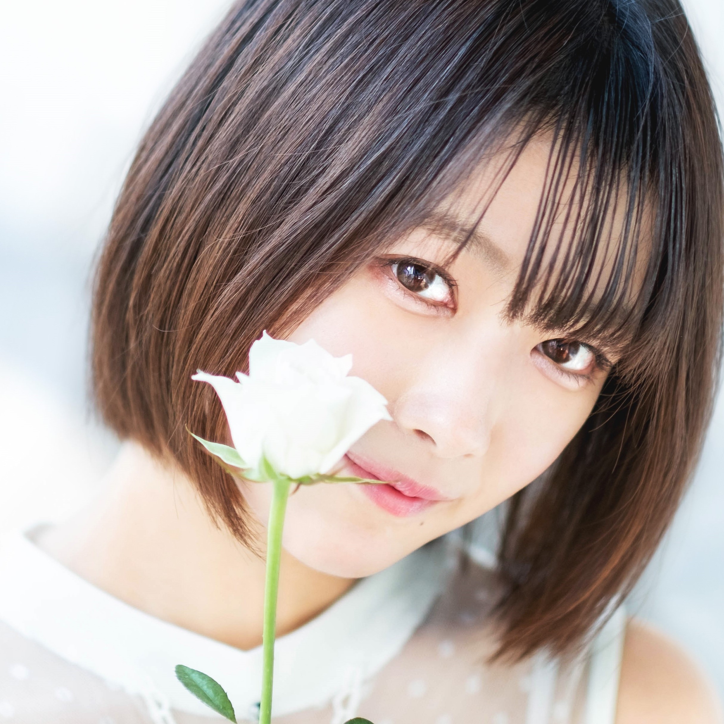 あかりん